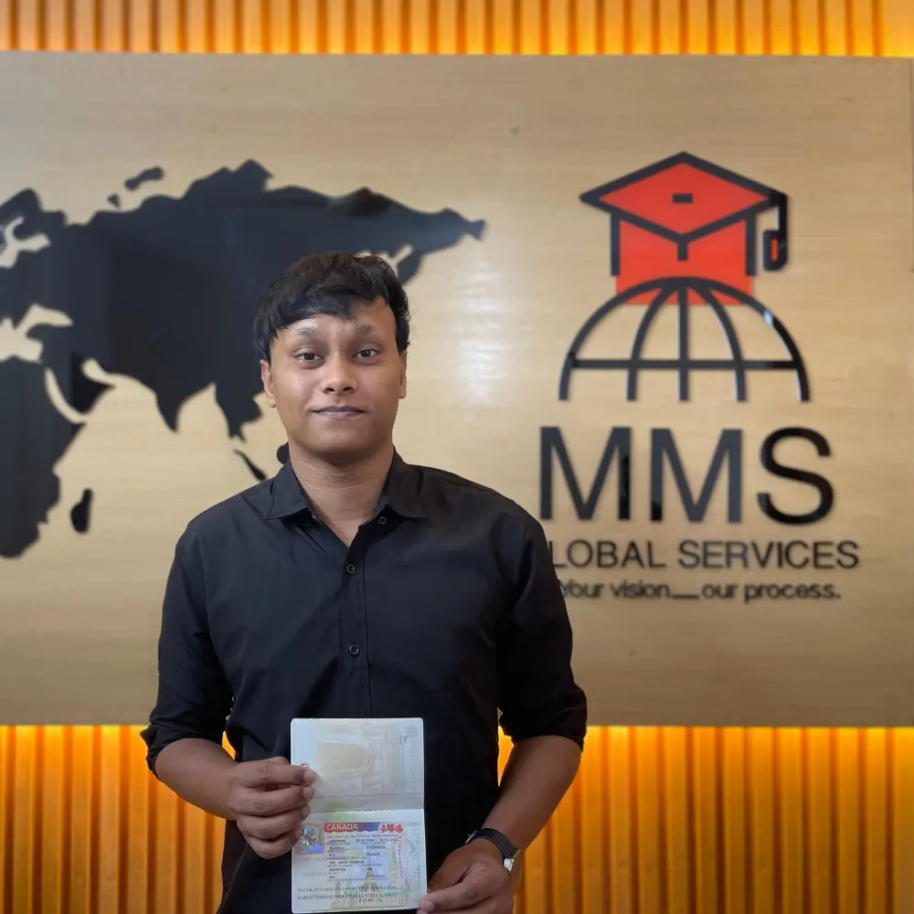 Successful Visa